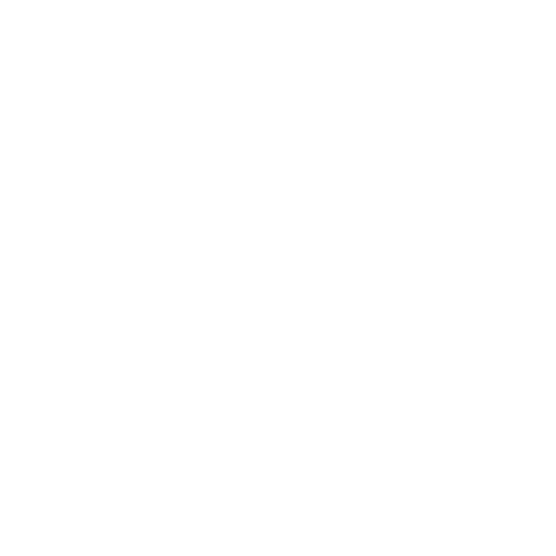 BullShip